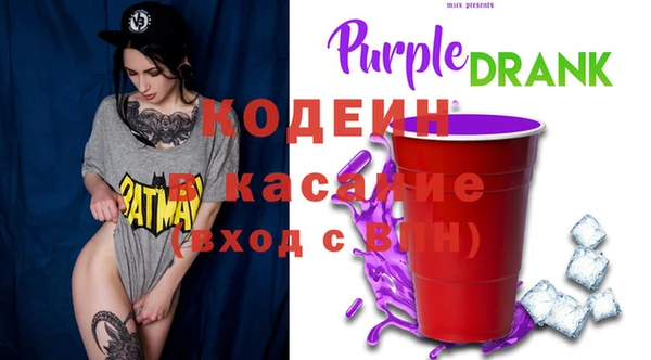 индика Армянск