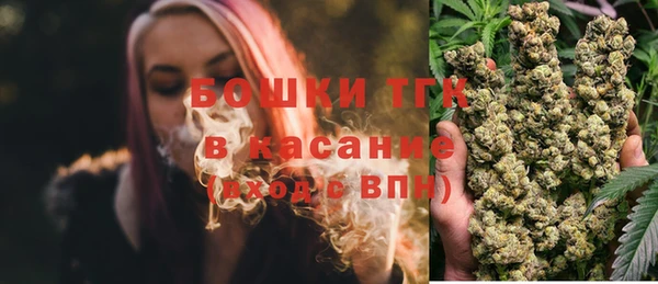 индика Армянск